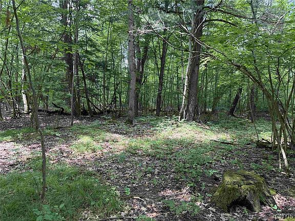 3rd image of County Road 17