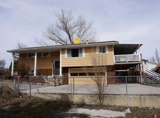 13050 Orchard Ave, Eckert, CO 81418