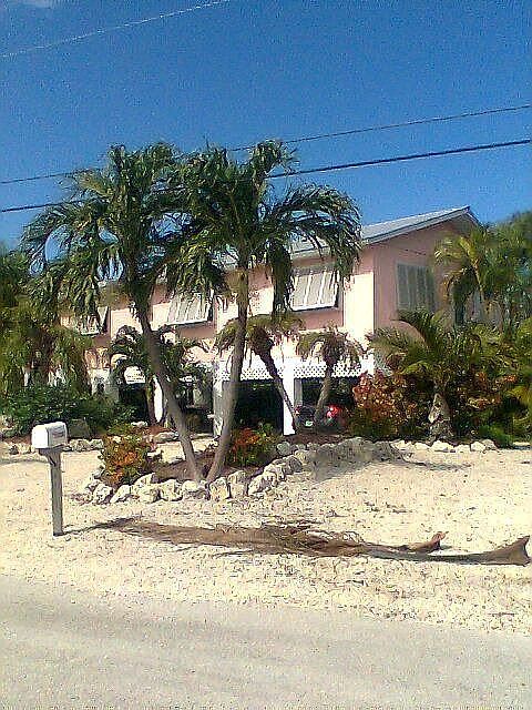 Palm landscaped home