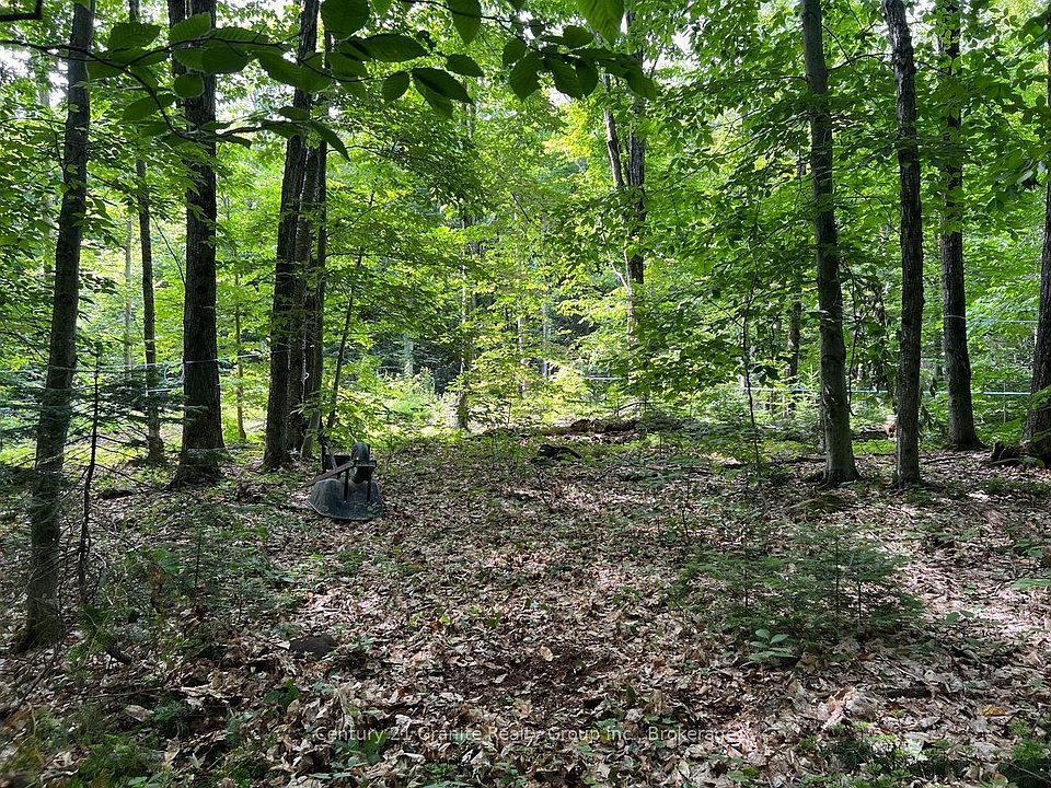 1st image of 99 Forest View Rd