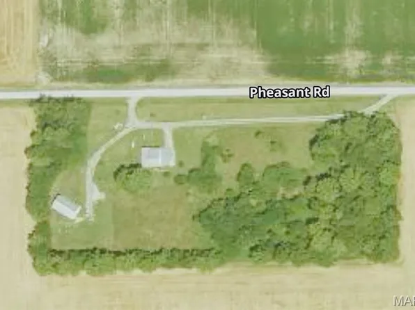 17642 Pheasant Rd, Nashville, IL 62263