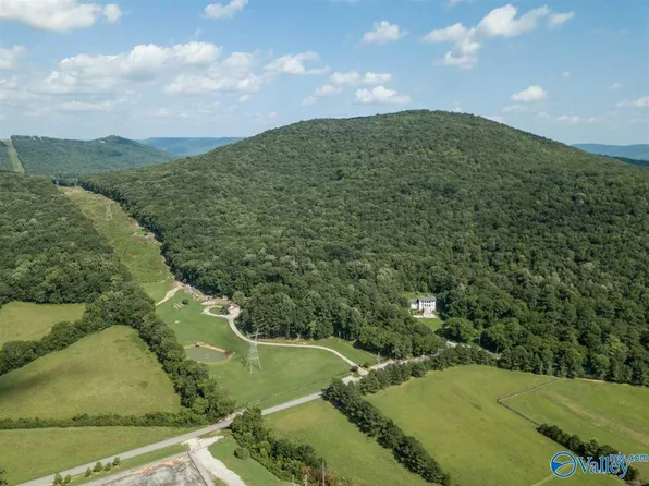 NULLA King Drake Rd, Brownsboro, AL 35741