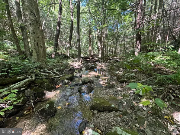 95/ACRE S Laurel Mountain Rd, Three Springs, PA 17264