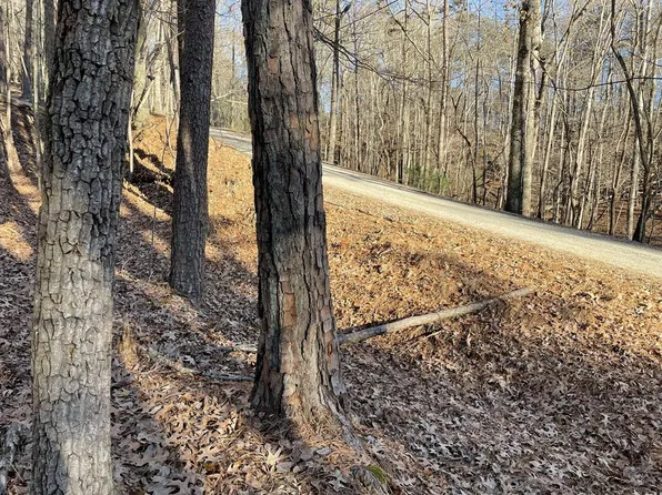 2458 Montage Dr, Ellijay, GA 30540