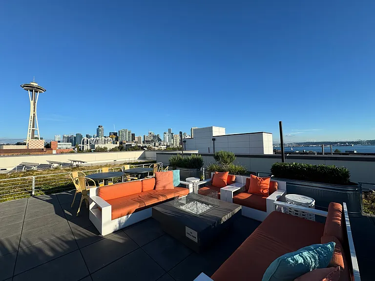Vivid Queen Anne — Photo 19