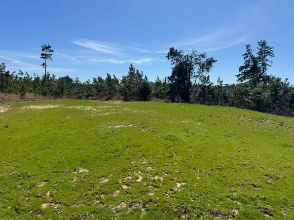 Duck Hill Ranch Rd, Duck Hill, MS 38925