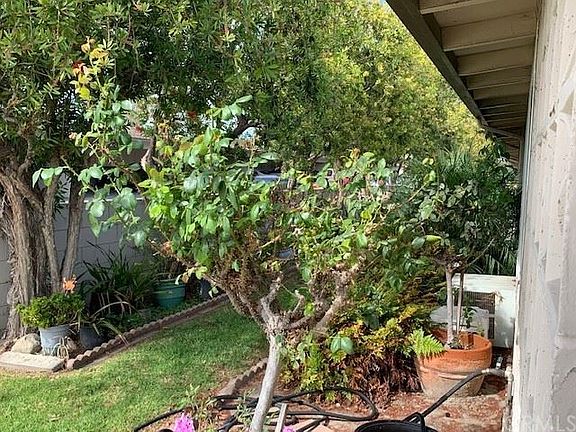 4th image of 13141 Del Monte Dr APT 284A