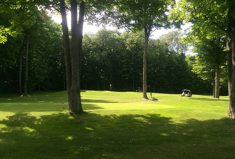 #3 green from back of lot