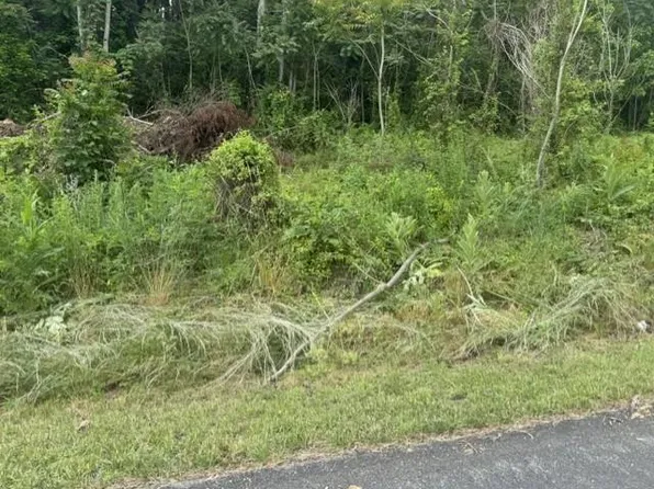 Tbd Whispering Pines Rd, Max Meadows, VA 24360