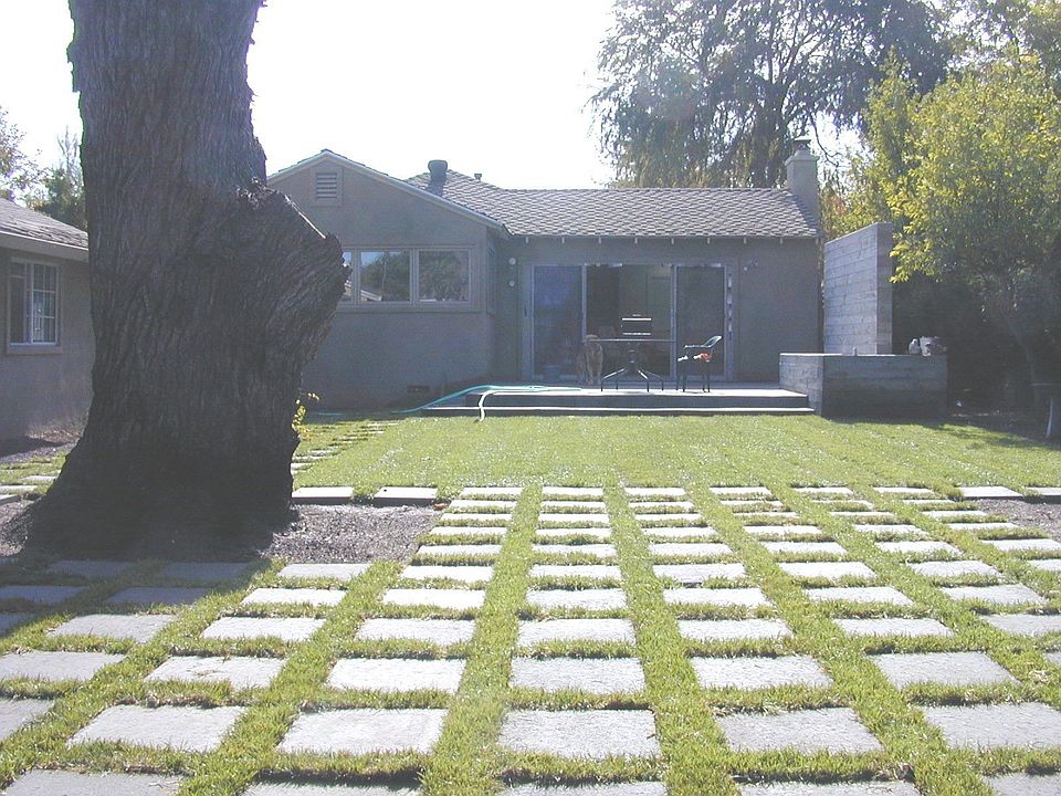 back yard