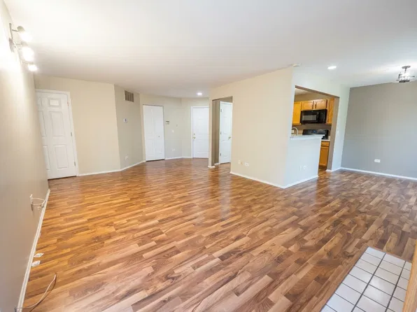 41 Amber Ct, Schaumburg, IL