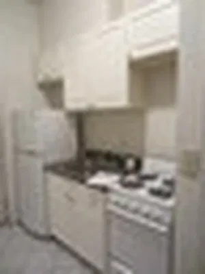 Rented by Link NY Realty | media 4