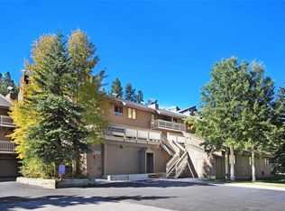 108 Guller Rd #B-5, Frisco, CO 80443