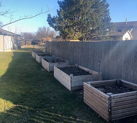 Back yard garden boxes