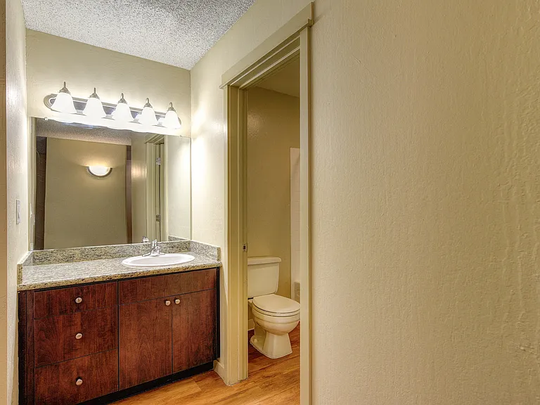 Bathroom and Vanity