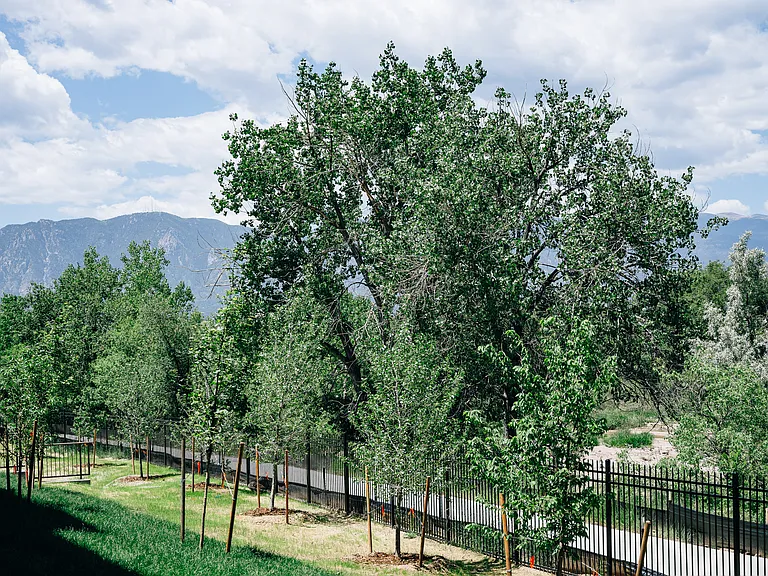Bentley Commons — Photo 15