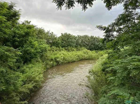 (undisclosed Address), Buena Vista, NM 87712