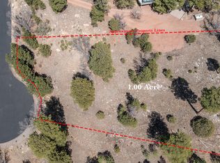 1605 Mule Deer Pl, Happy Jack, AZ 86024
