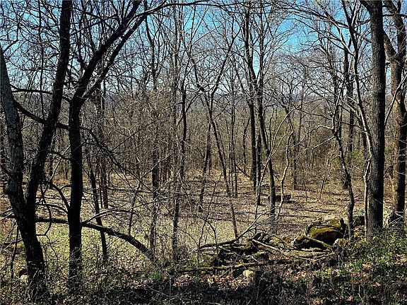 3rd image of 19743 Hale Mountain Rd