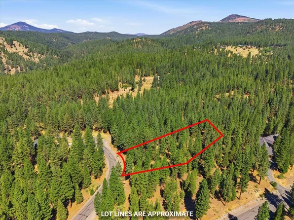 178 Bird Of Prey Ln, Portola, CA 96122