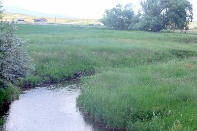 Year round Marsh Creek