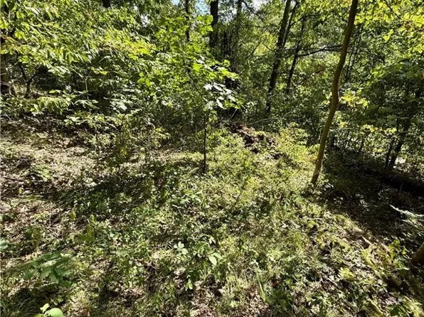 Poker Rd SE, Scio, OH 43988