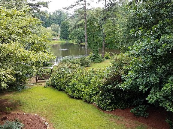 Today's back yard view