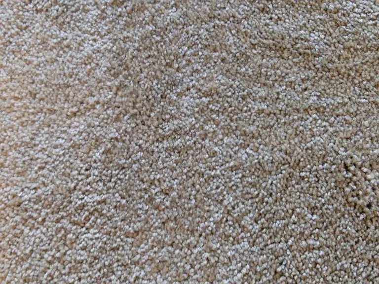 beige color of the carpet