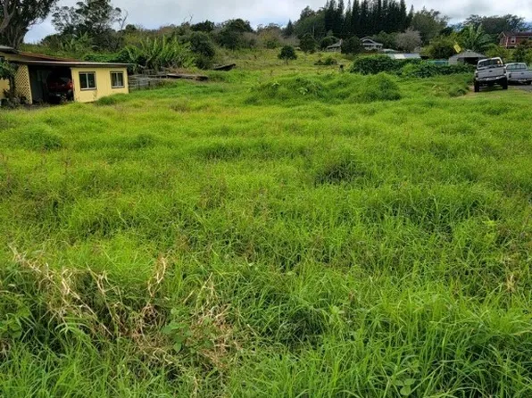 64-400 Leleaka Loop, Kamuela, HI 96743