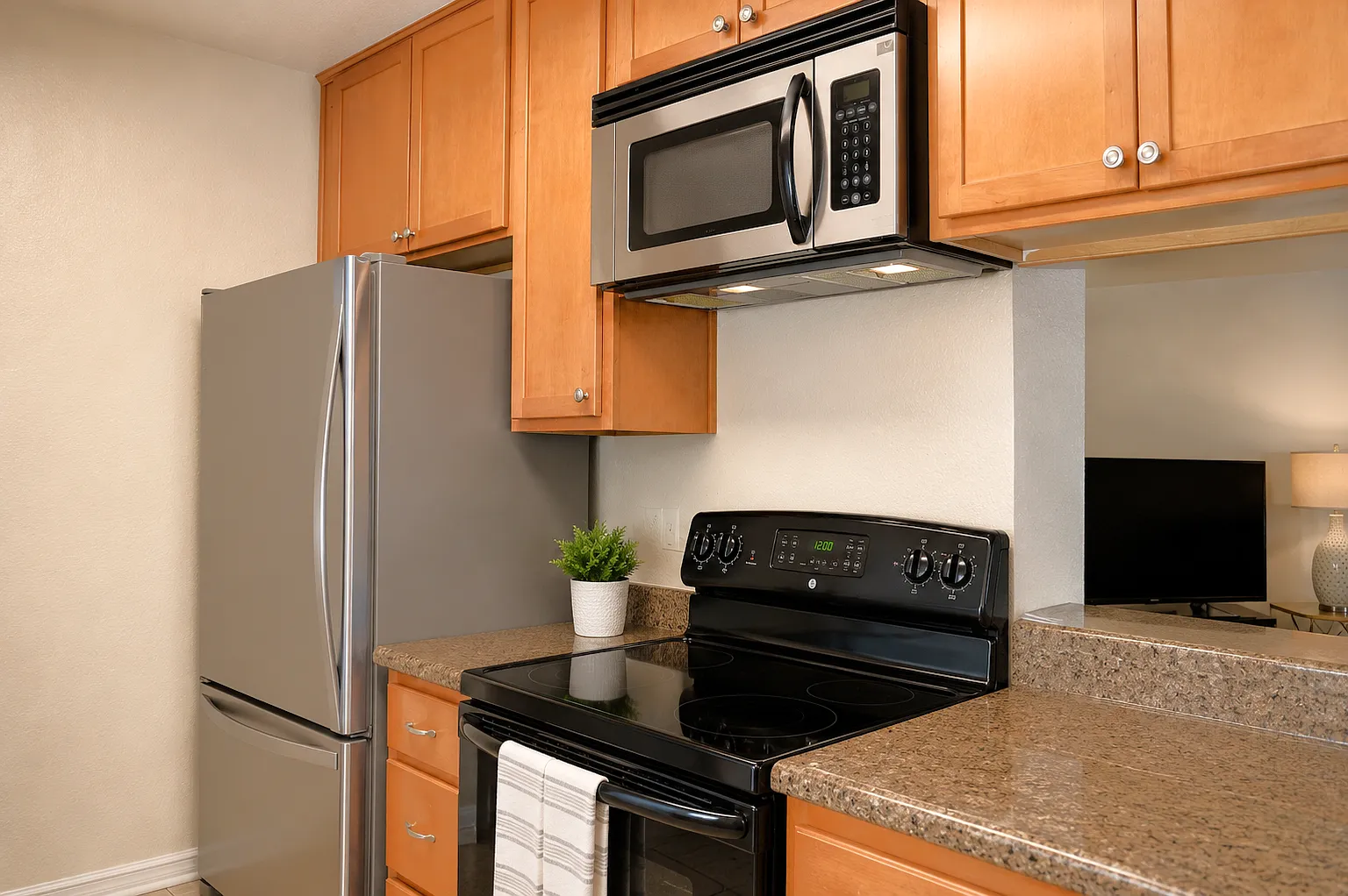 2 bed, 960 sqft, $2,500 — Photo 3