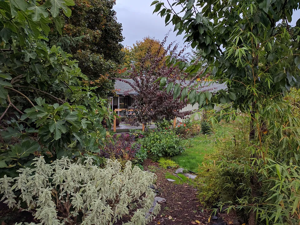 Home from backyard