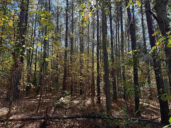 3rd image of 793 Puncheon Creek Dr.