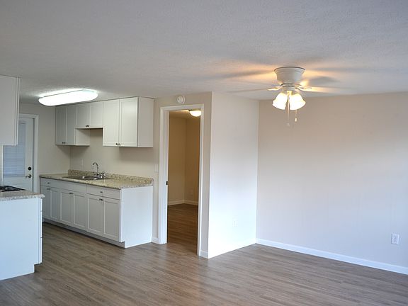 Kitchen area and entry to main Bedroom