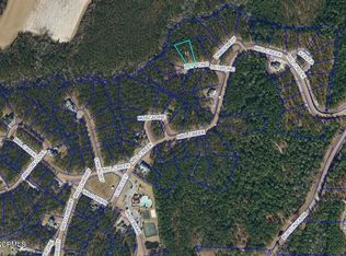 58 Lily Pond Ln, Arapahoe, NC 28510