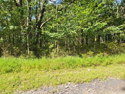 A187 White Oak Dr, Jim Thorpe, PA, 18229