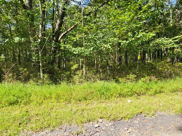 A187 White Oak Dr, Jim Thorpe, PA 18229