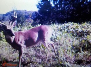 Patience Way, Bybee, TN 37713