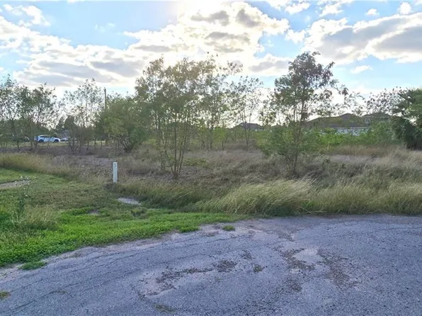 31015 Laureles Cir, Los Fresnos, TX 78566