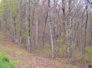 C1 Overlook Trl #C1, Spring City, TN 37381