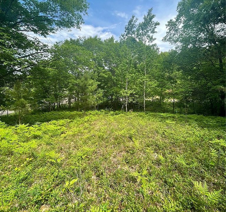 1st image of 1.24 Acres Carlton Rd