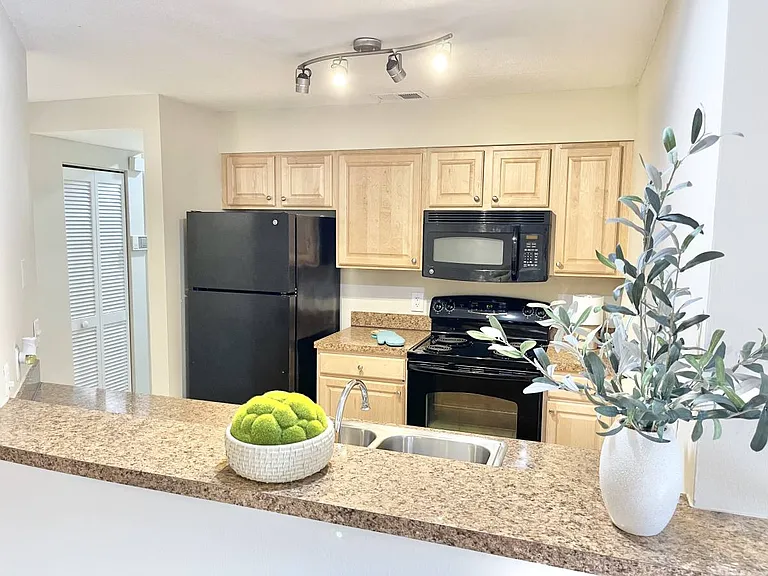 208 S Habana Ave — Photo 11