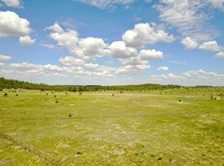 5470 Ripley Ln, Pinedale, AZ 85934