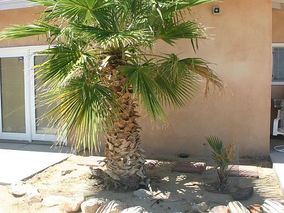 Front view. More exterior shots are coming.