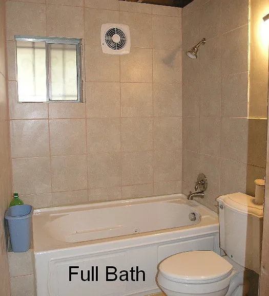 Full tub and shower