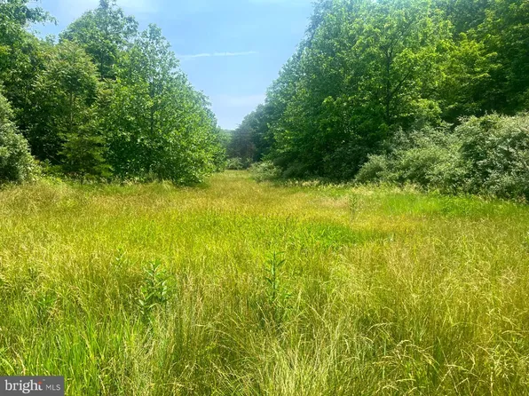 Myers Ln, Fort Ashby, WV 26719