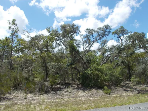 2792 W Gaucho Dr, Citrus Springs, FL 34433