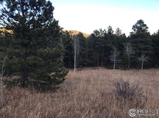 167 Jed Smith Rd, Ward, CO 80481