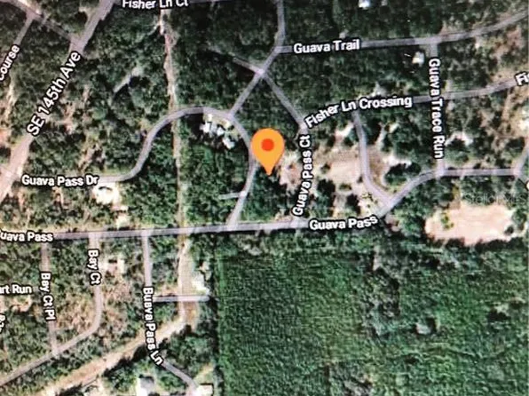Undetermined Lot 5, Weirsdale, FL 32195
