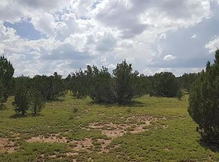 801 E Running Bear Rd, Williams, AZ 86046