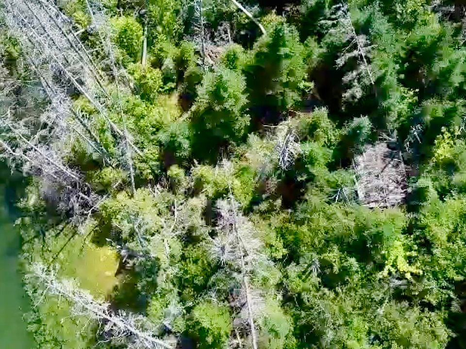 2nd image of Golden Ln